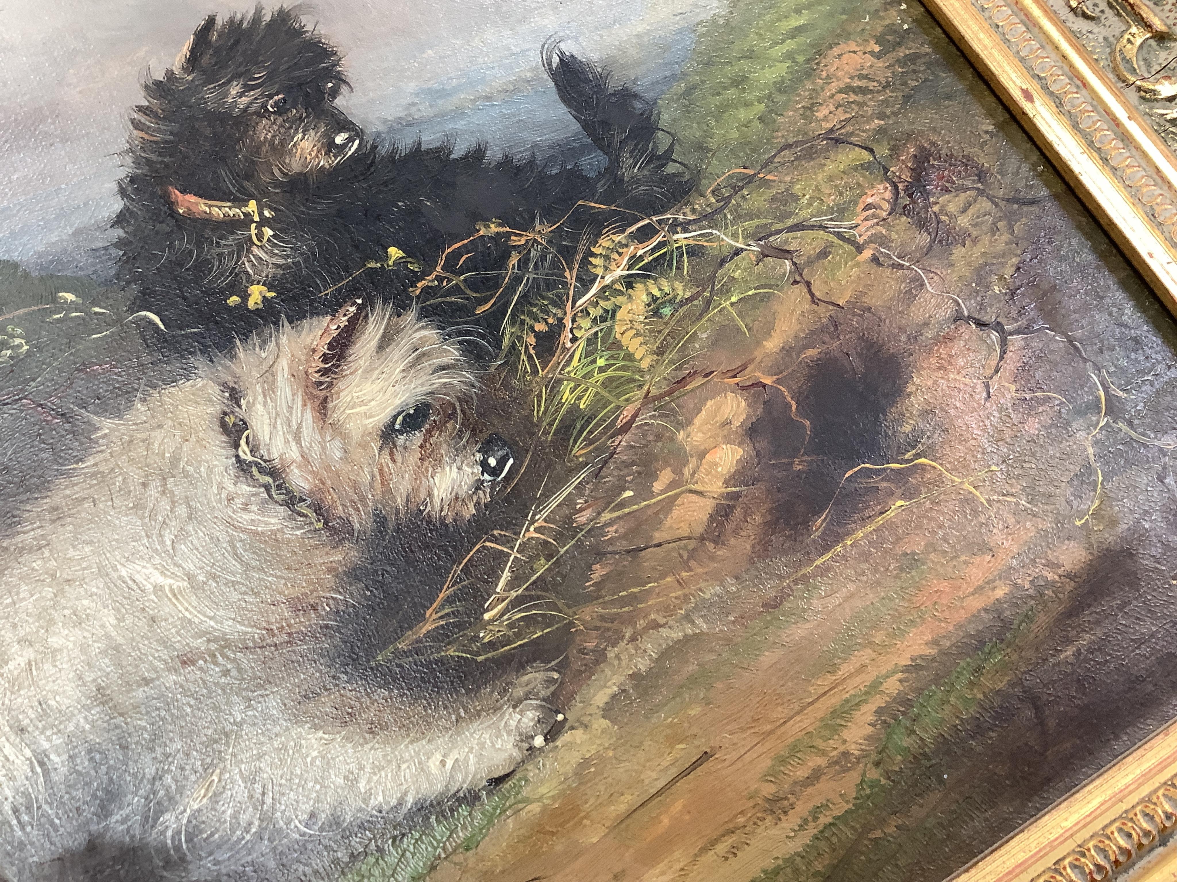J. Langlois (1855-1904), Terriers rabbiting, signed, oil on canvas, gilt framed, 23 x 34cm